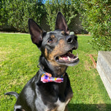 Up up and hooray 'velcro' bow tie - Clover and co collective